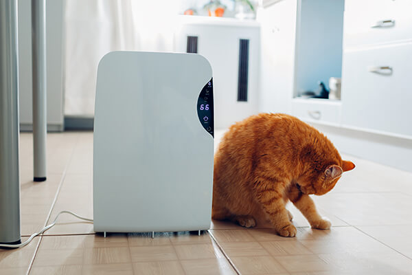 Developers working on a web app at BravionTech