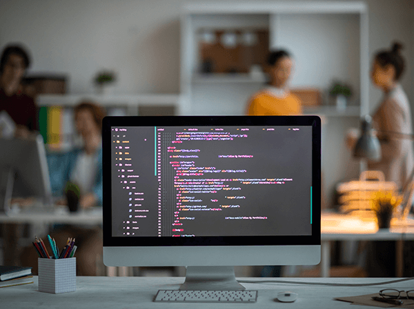 Website development showcase